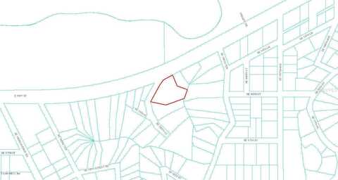 0 E HWY 40, SILVER SPRINGS, FL 34488