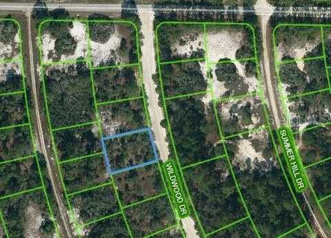 366 WILDWOOD DRIVE, LAKE PLACID, FL 33852