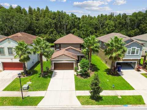 1653 LUDINGTON AVENUE, WESLEY CHAPEL, FL 33543