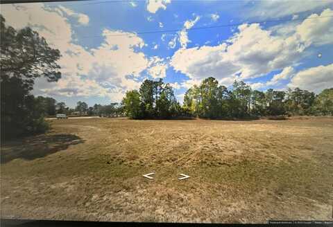 2229 DE NAVARRA PARKWAY, CAPE CORAL, FL 33909