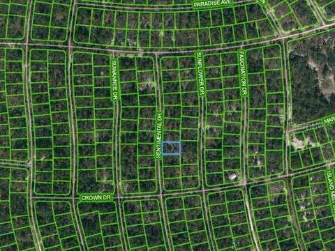 249 SENTIMENTAL DRIVE, LAKE PLACID, FL 33852