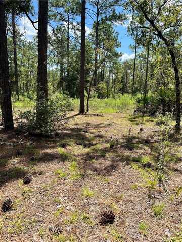 Tbd SW 156TH COURT, OCALA, FL 34481