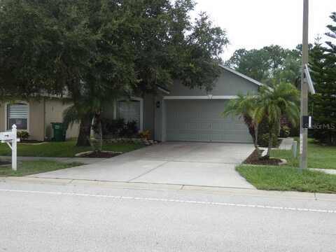 30607 BIRDHOUSE DRIVE, WESLEY CHAPEL, FL 33545