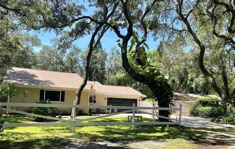 13820 FRIENDSHIP LANE, ODESSA, FL 33556