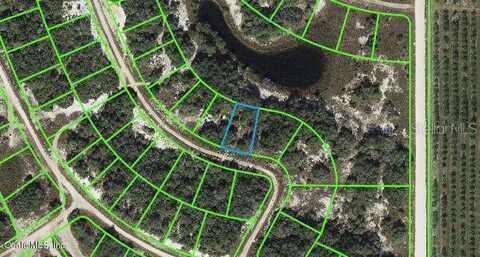 211 Dargen DRIVE, LAKE PLACID, FL 33852