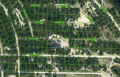 417 WIND ROSE AVENUE, LAKE PLACID, FL 33852