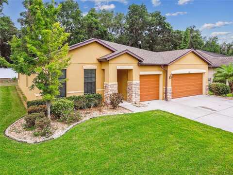 2236 LANDSIDE DRIVE, VALRICO, FL 33594