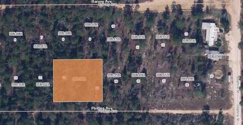 00 PHILLIPS AVENUE, INTERLACHEN, FL 32148