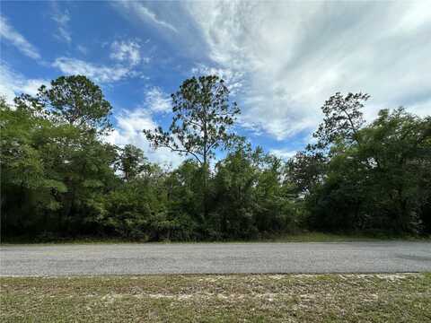 Tbd NE 220TH STREET, FORT MC COY, FL 32134