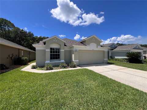 5227 GATO DEL SOL CIRCLE, WESLEY CHAPEL, FL 33544