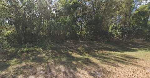 324 E EDGEWOOD DRIVE, GEORGETOWN, FL 32139