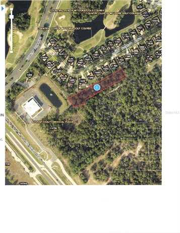 PARK FOREST BOULEVARD, MOUNT DORA, FL 32757