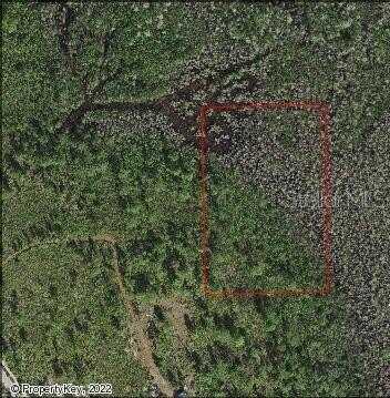 HOLOPAW GROVES ROAD, SAINT CLOUD, FL 34773