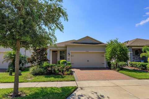 17333 BLAZING STAR CIRCLE, CLERMONT, FL 34714