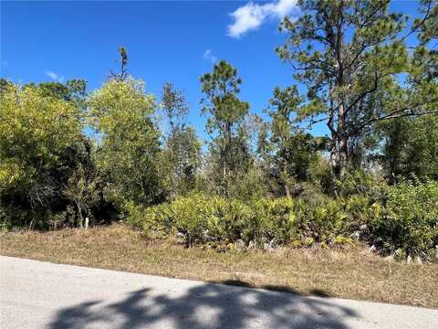 28238 SOUTH TWIN LAKES DRIVE, PUNTA GORDA, FL 33955