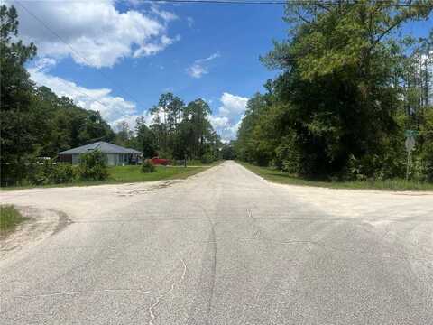 1251 AVOCADO BOULEVARD, BUNNELL, FL 32110