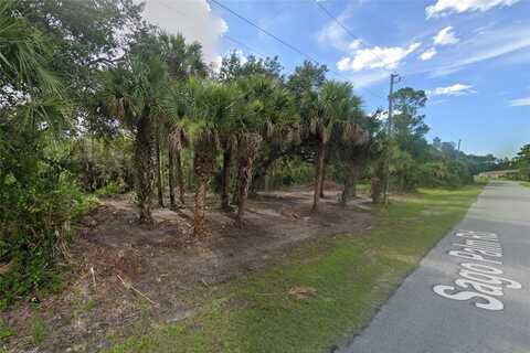 Lot 20 & 21 SAGO PALM ROAD, NORTH PORT, FL 34291