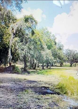 Tbd SE STATE ROAD, WEIRSDALE, FL 32195