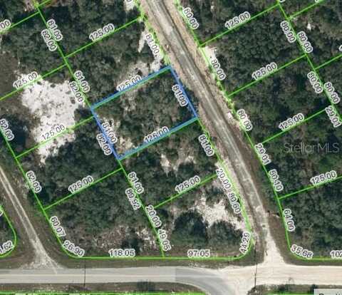 204 DEEP PURPLE DRIVE, LAKE PLACID, FL 33852