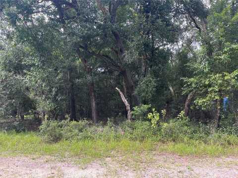 NORTH ROAD, ALTOONA, FL 32702