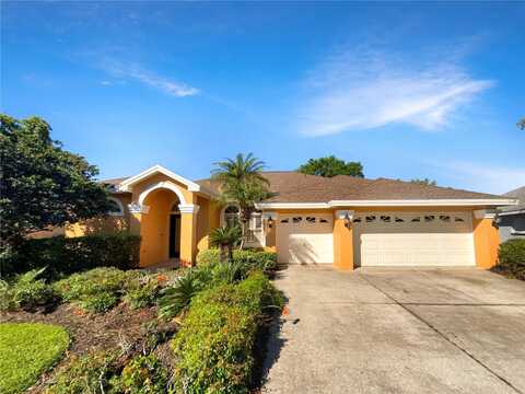 18720 FOREST GLEN COURT, TAMPA, FL 33647