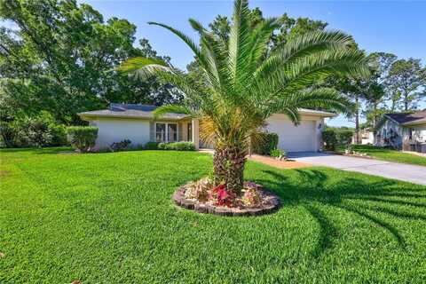 2875 LOMOND DRIVE, PALM HARBOR, FL 34684