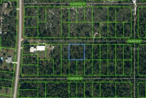 1411 CALADIUM STREET, LAKE PLACID, FL 33852