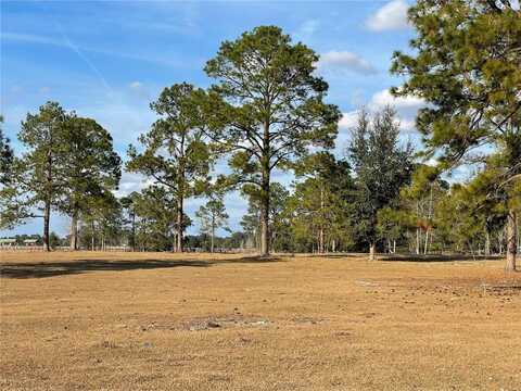 219TH AVENUE, MORRISTON, FL 32668