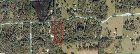 NW 168 PLACE, REDDICK, FL 32686