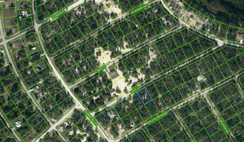 411 TAHITI LANE, LAKE PLACID, FL 33852