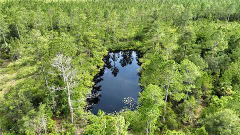 00 FLORIDA STATE RD 24, OTTER CREEK, FL 32683