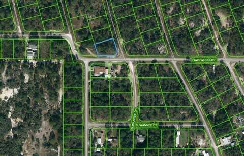 364 FAWNWOOD AVENUE, LAKE PLACID, FL 33852