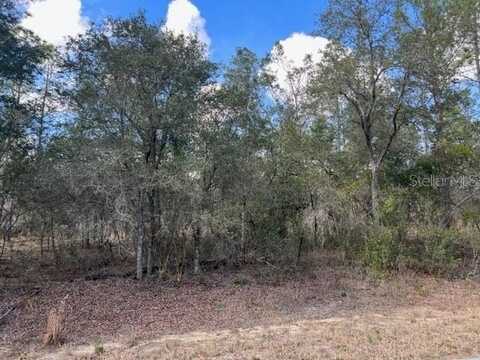 0 SE 144TH LANE, SUMMERFIELD, FL 34491