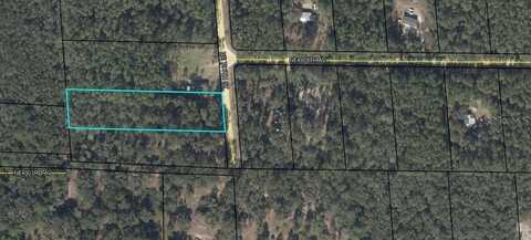 NE 796TH STREET, OLD TOWN, FL 32680