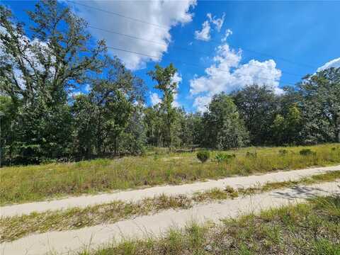 0 NE 61ST LANE, BRONSON, FL 32621