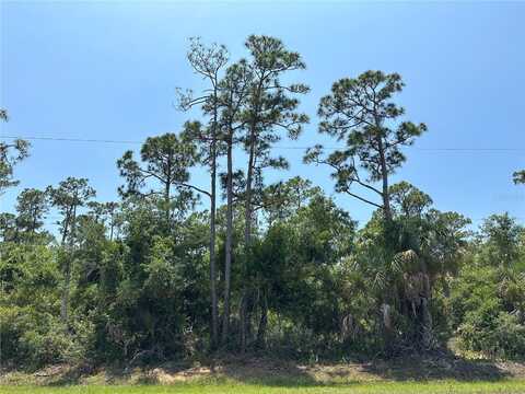 12097 GREEN GULF BOULEVARD, PUNTA GORDA, FL 33955