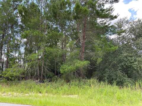 undefined, OCALA, FL 34476