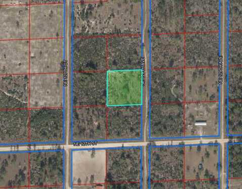 1290 NE 128TH AVENUE, WILLISTON, FL 32696