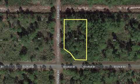 824 ORCHID DRIVE, INDIAN LAKE ESTATES, FL 33855