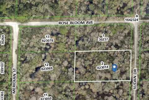 0 SUDAN DRIVE, WEBSTER, FL 33597