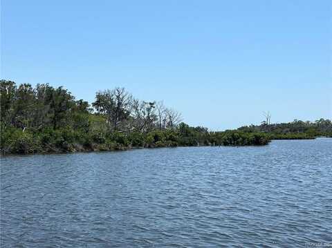 102 CARNAHANS ISLAND, CRYSTAL RIVER, FL 34429