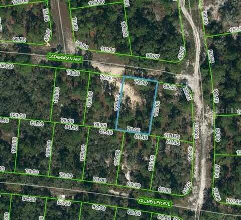 341 CATAMARAN AVENUE, LAKE PLACID, FL 33852