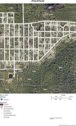 Lot 37-44 PINE STREET, PAISLEY, FL 32767