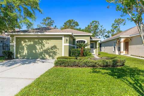 3211 BANYAN HILL LANE, LAND O LAKES, FL 34639