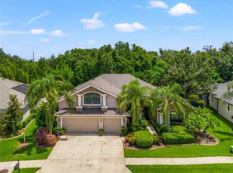 15407 AZRA DRIVE, ODESSA, FL 33556