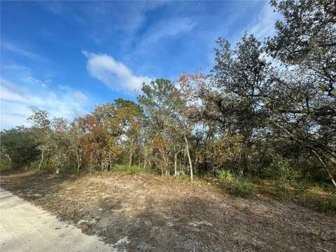 8208 RENOVA DRIVE, WEBSTER, FL 33597