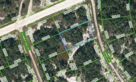 126 DANBY DRIVE, LAKE PLACID, FL 33852