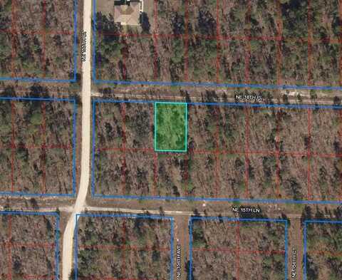 15580 NE 16TH PLACE, WILLISTON, FL 32696