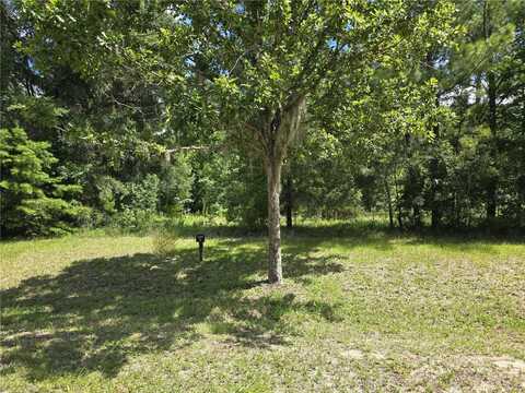 8911 NW 58TH LANE, GAINESVILLE, FL 32653