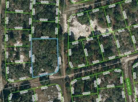 238 HORIZON DRIVE, LAKE PLACID, FL 33852